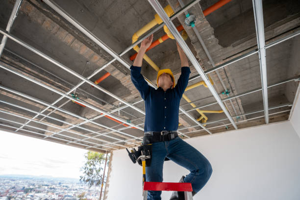 Best Plumbing Services Near Me  in Barton Creek, TX